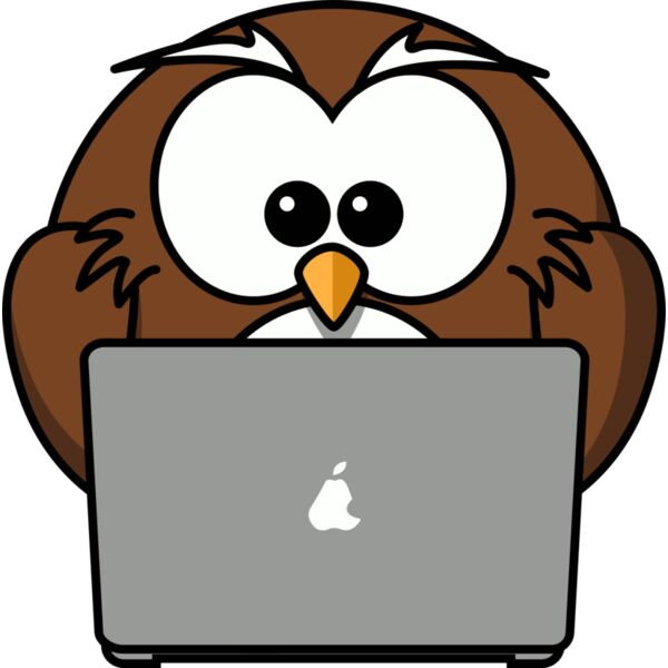 Owl  Computing  Thumbnail