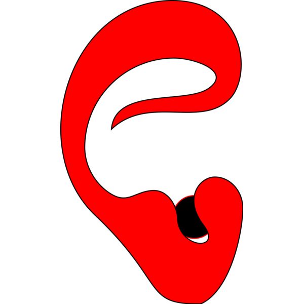 Ear 1 Thumbnail