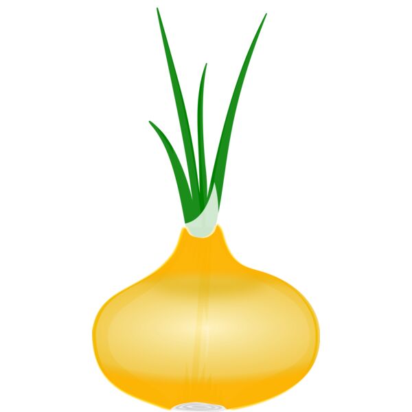 Onion 1 Thumbnail