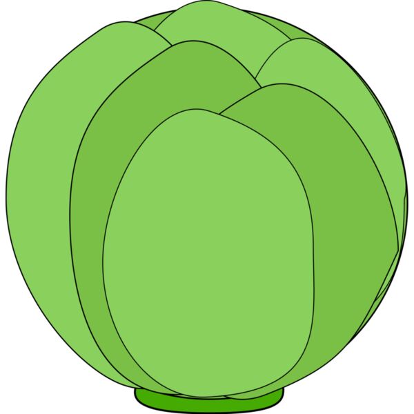 Cabbage Thumbnail