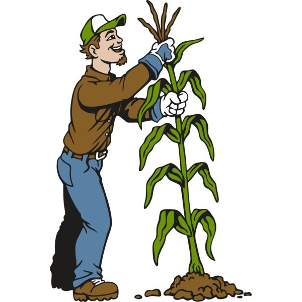 detasselerJK03 Thumbnail