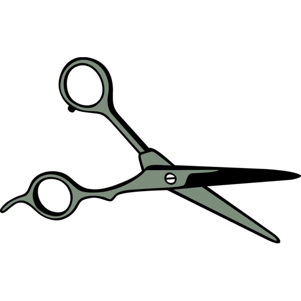 scssrsP02 eps Thumbnail