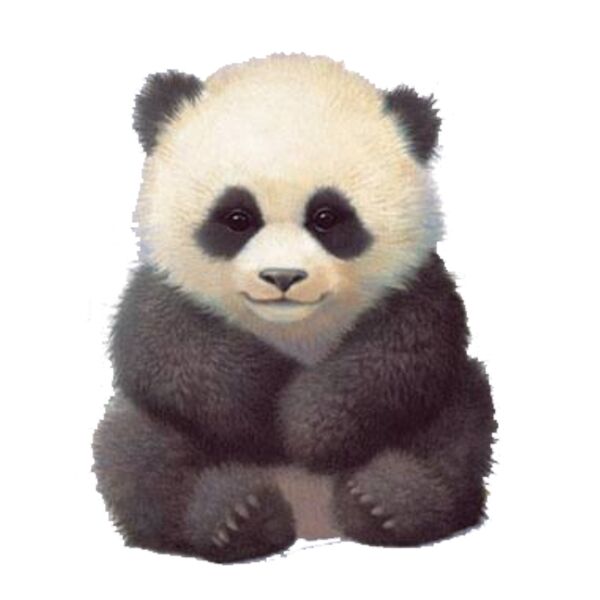 Baby Panda Thumbnail
