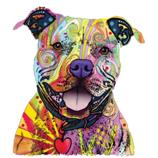 Colorful Pitbull Thumbnail