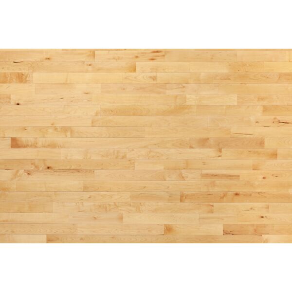 Basketball Floor Thumbnail