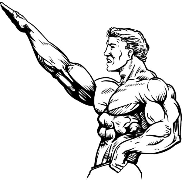 Bodybuilder5 Thumbnail