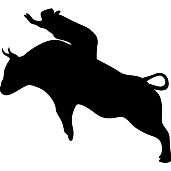 Bull Rider7 Thumbnail