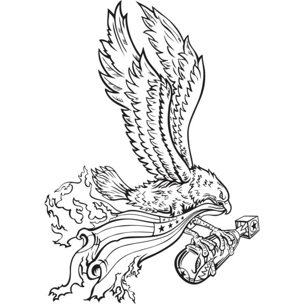 USA Eagle3 Thumbnail