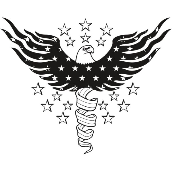USA Eagle11 Thumbnail