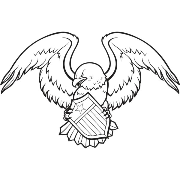 USA Eagle10 Thumbnail