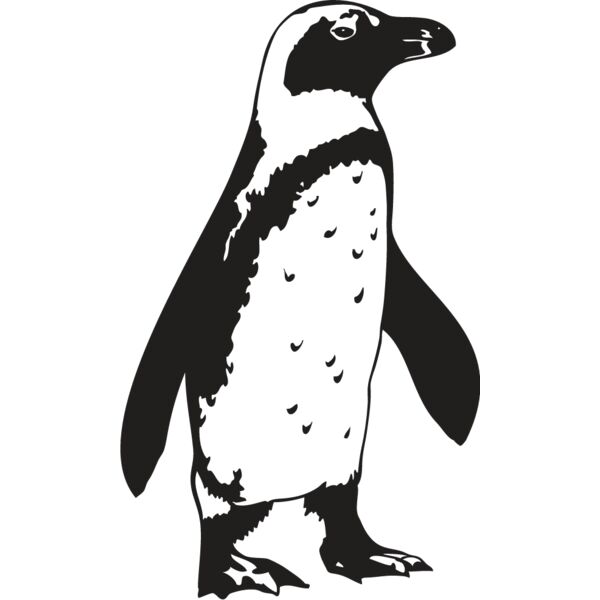 Penguin2 Thumbnail
