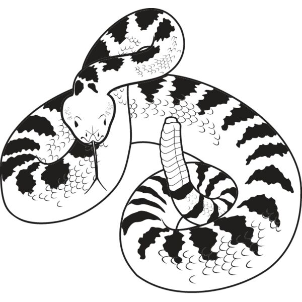 Rattlesnake Thumbnail