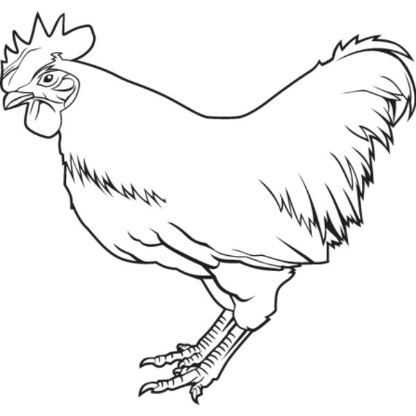 Chicken2 Thumbnail