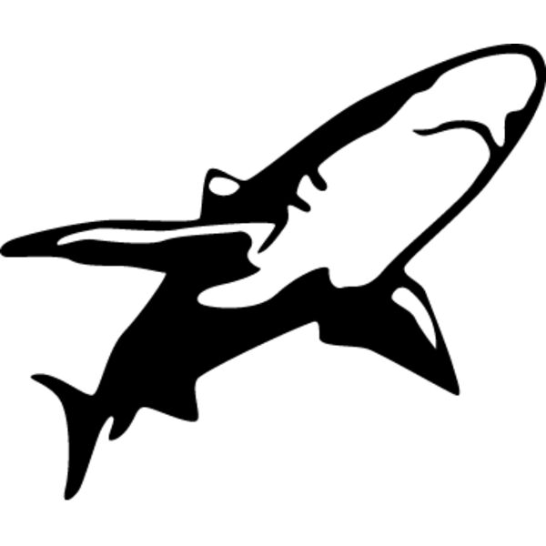 Shark5 Thumbnail
