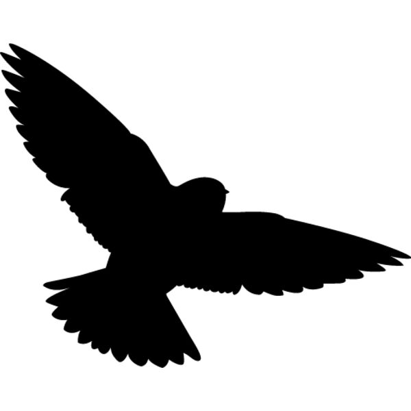 Bird Silhouette11 Thumbnail