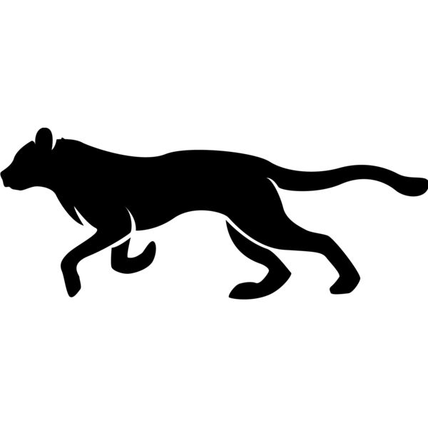 Big Cat  Tiger  Lion  Panther 10 Thumbnail