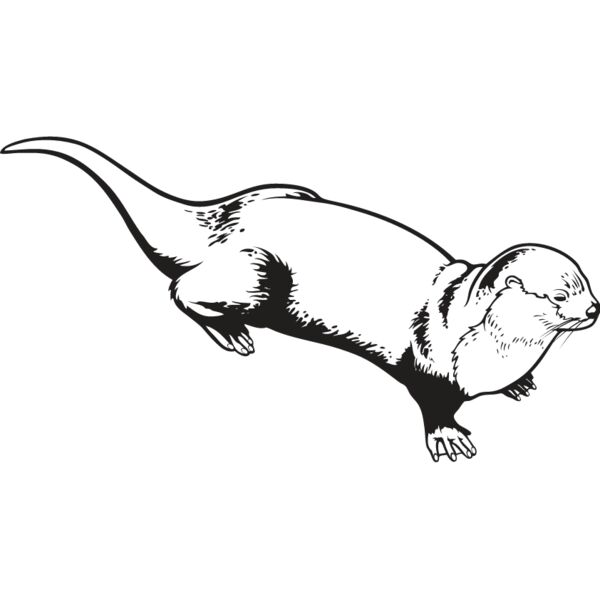 Otter1 Thumbnail