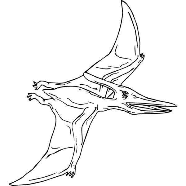 Pteradactyl2 Thumbnail