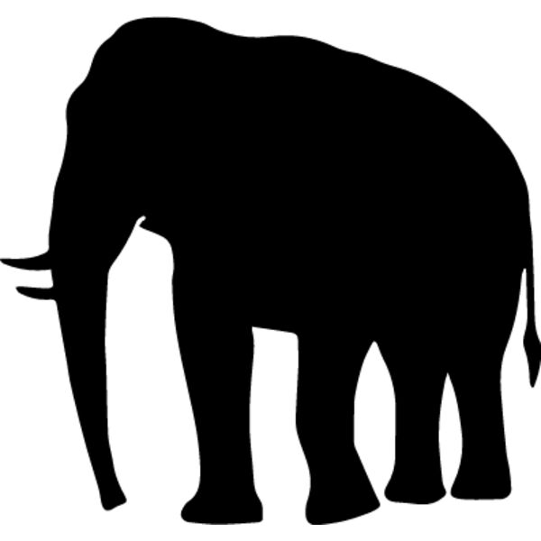 Elephant7 Thumbnail