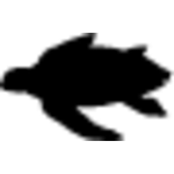 Sea Turtle3 Thumbnail