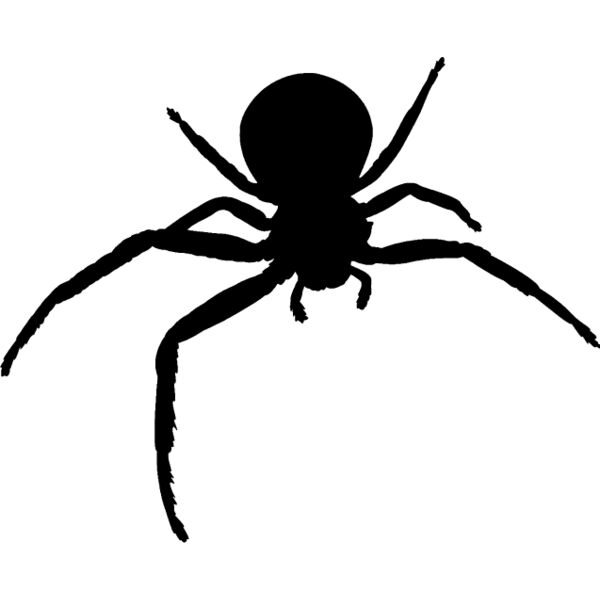 Spider Silhouette9 Thumbnail