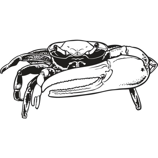 Crab1 Thumbnail