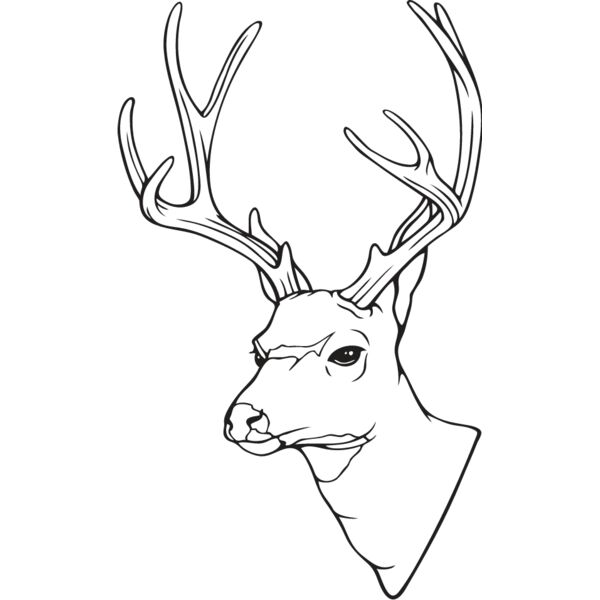 Deer2 Thumbnail