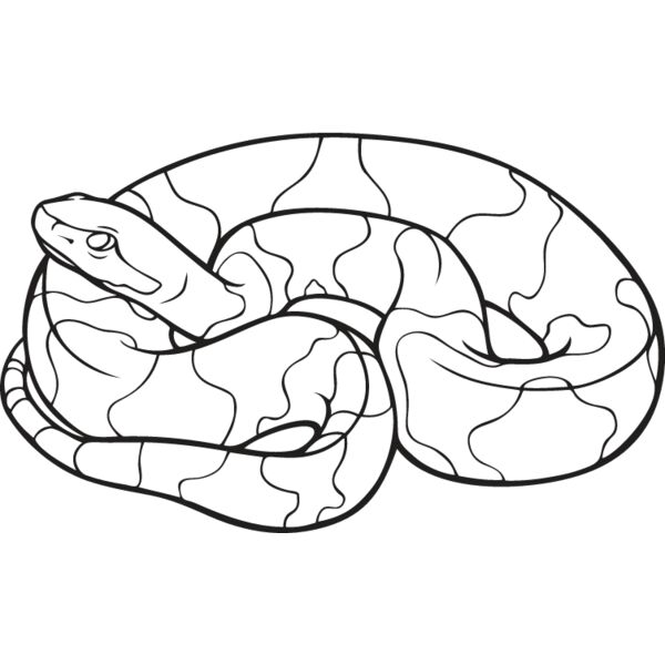 Copperhead Snake Thumbnail