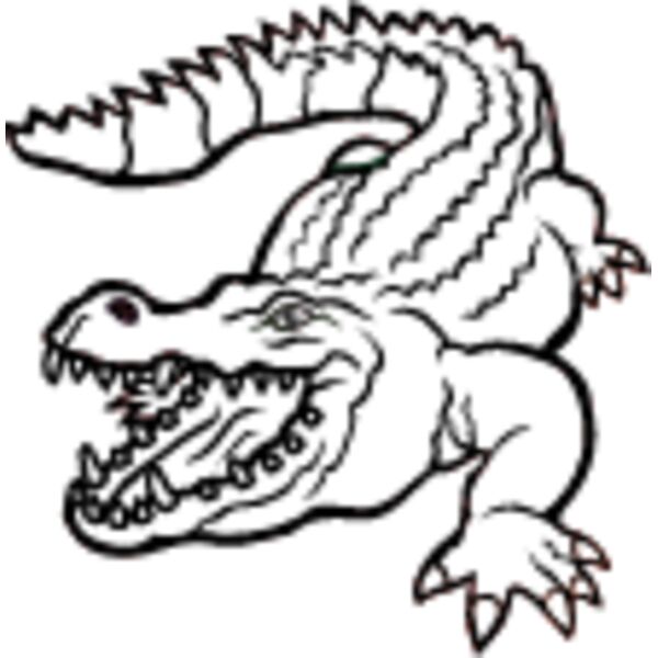 Crocodile2 Thumbnail