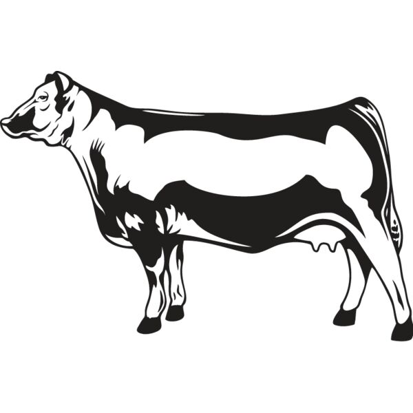 Cow1 Thumbnail