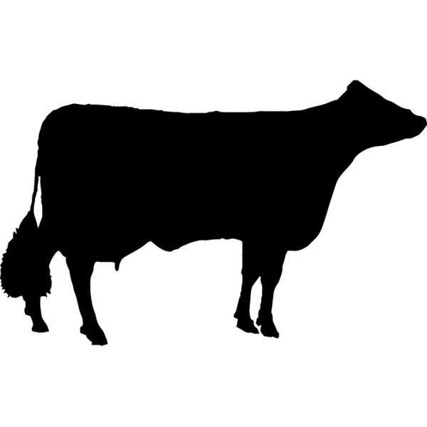 Cow10 Thumbnail