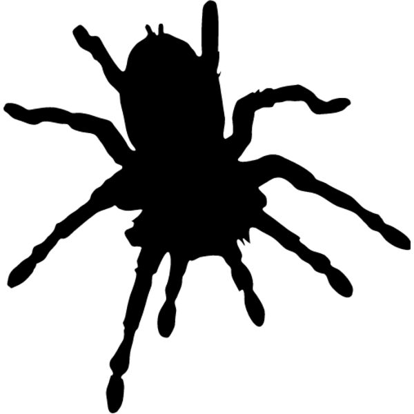 Spider Silhouette12 Thumbnail