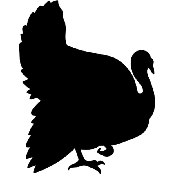 Wild Turkey4 Thumbnail