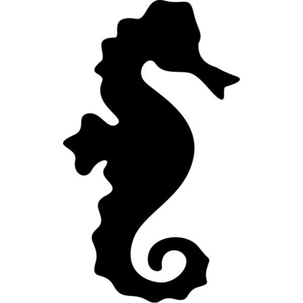Seahorse6 Thumbnail