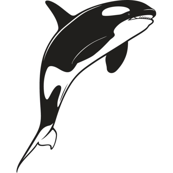Killer Whale5 Thumbnail