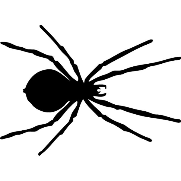 Spider Silhouette3 Thumbnail
