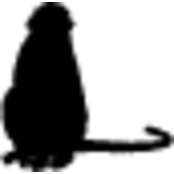 Monkey Silhouette11 Thumbnail
