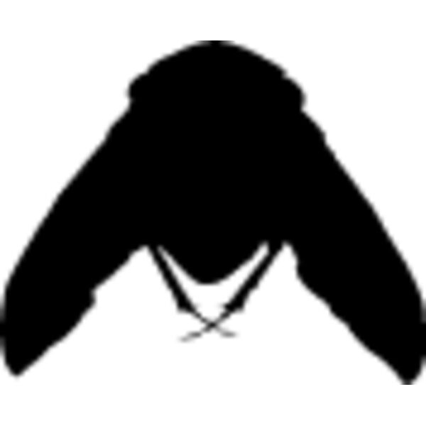 Flying Insect3 Thumbnail