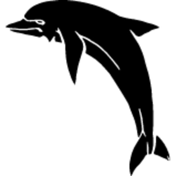 Dolphin3 Thumbnail