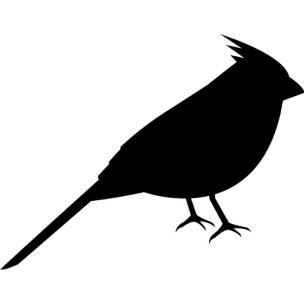 Bird Silhouette15 Thumbnail