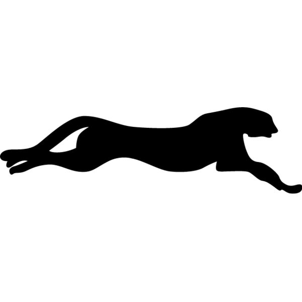 Big Cat  Tiger  Lion  Panther 24 Thumbnail