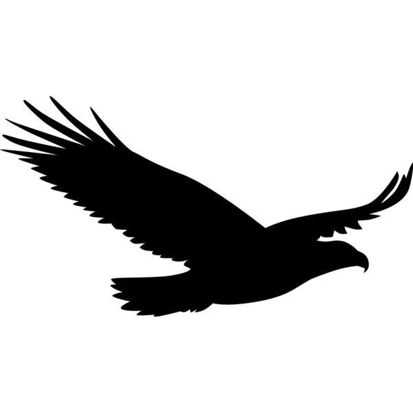 Bird Silhouette10 Thumbnail