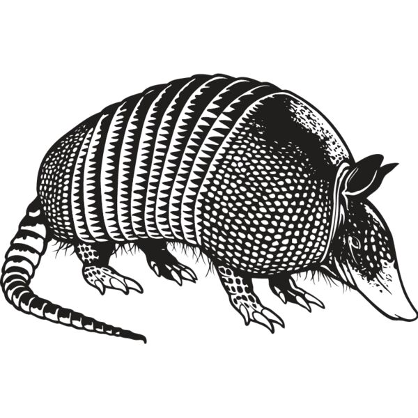 Armadillo2 Thumbnail