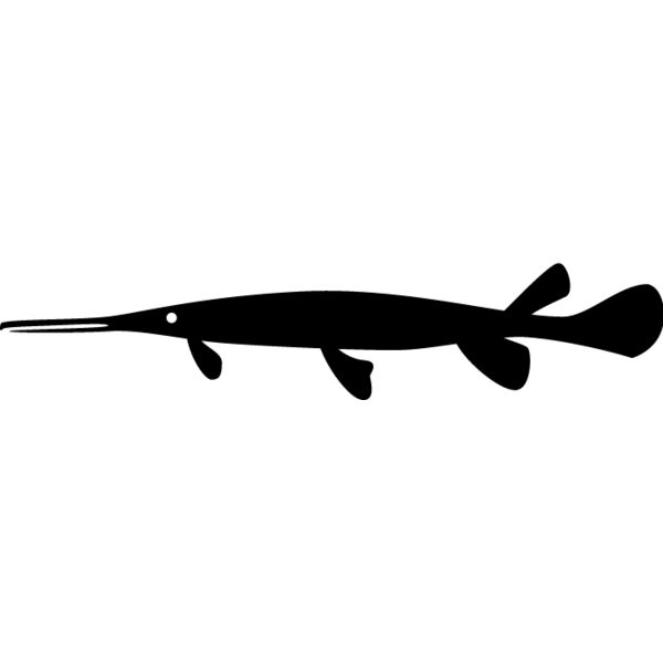 Fish Silhouette17 Thumbnail