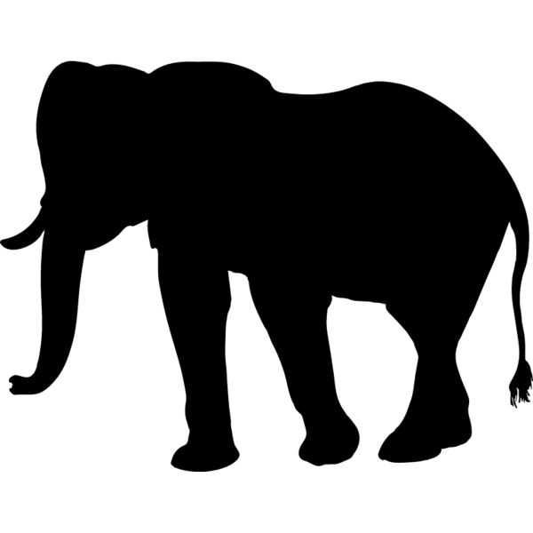 Elephant1 Thumbnail