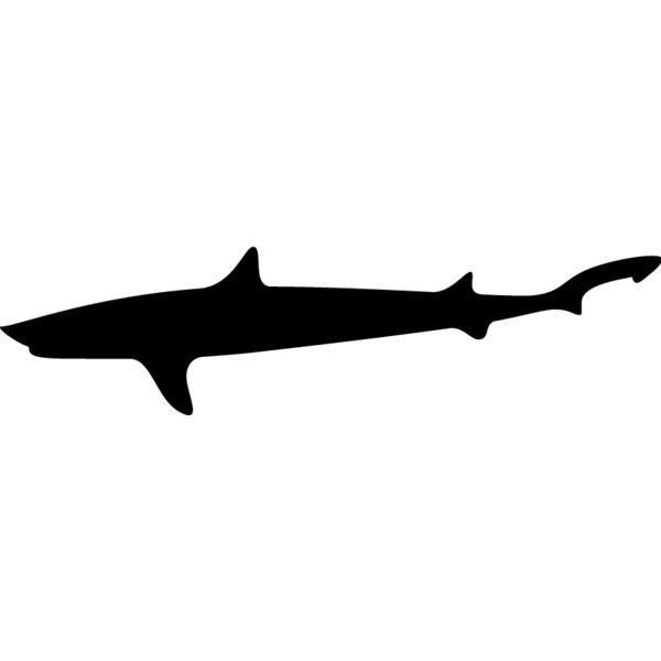 Shark Silhouette3 Thumbnail