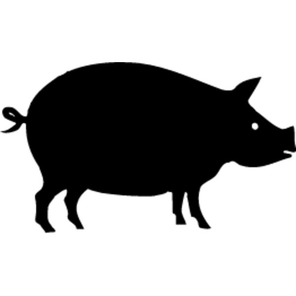 Pig4 Thumbnail