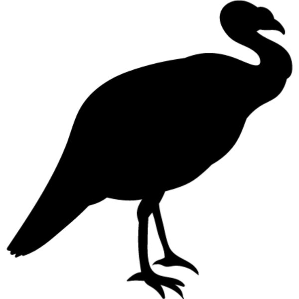 Wild Turkey1 Thumbnail