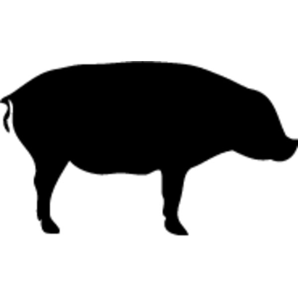 Pig5 Thumbnail
