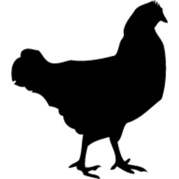 Chicken9 Thumbnail